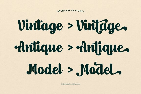 Moods Hitage | Retro Bold Script