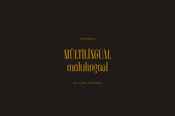 Michael Carsl Condensed Serif