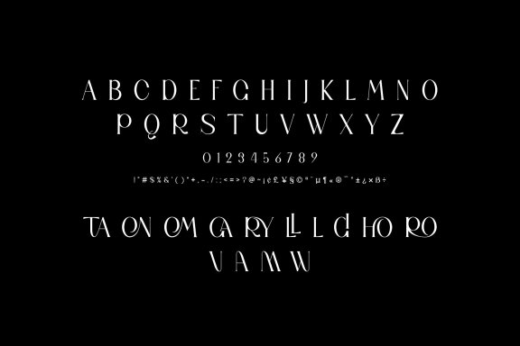 TAWON UNIQUE LIGATURE SERIF