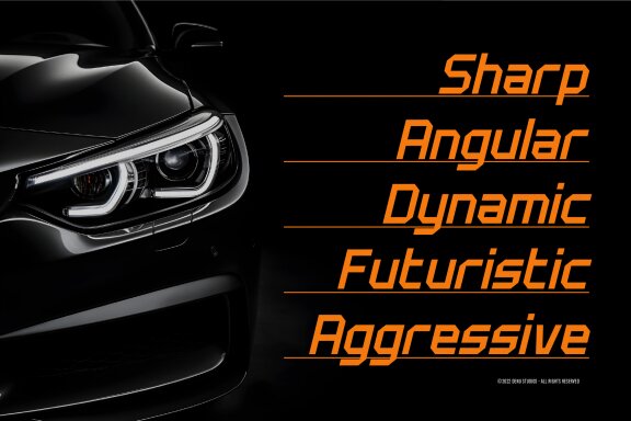 Zaegers | Race Display Font