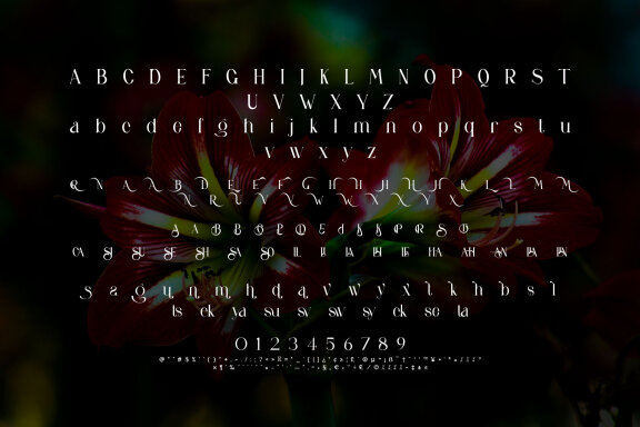Gallits Ligature Serif Typeface