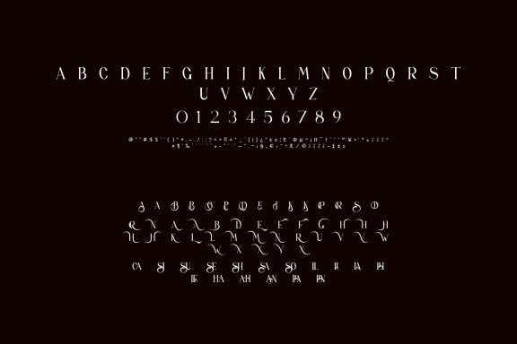 SALINCA Unique Serif Typeface