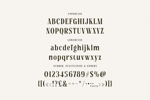 Tersakiti Elegant Modern Serif