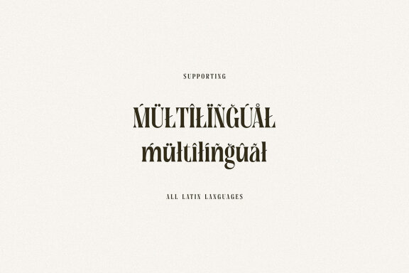 Tersakiti Elegant Modern Serif