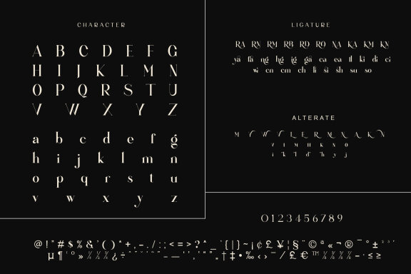 Meiya Ligature Serif Typeface