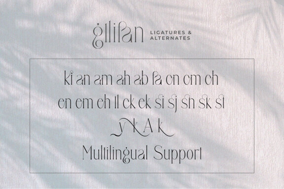 Gllifan unique ligature serif