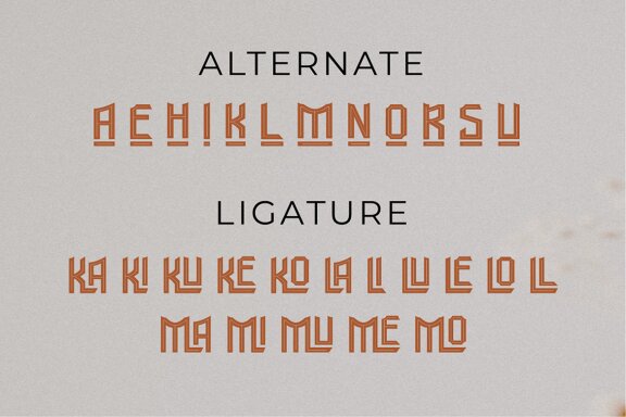 Mallovice a ethnic display font