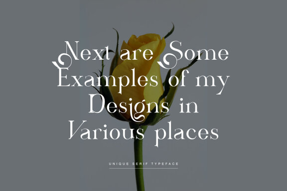 ARISEV Unique Serif Typeface