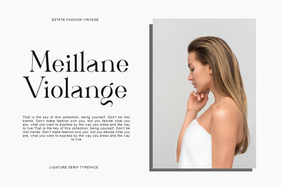 ARISEV Unique Serif Typeface