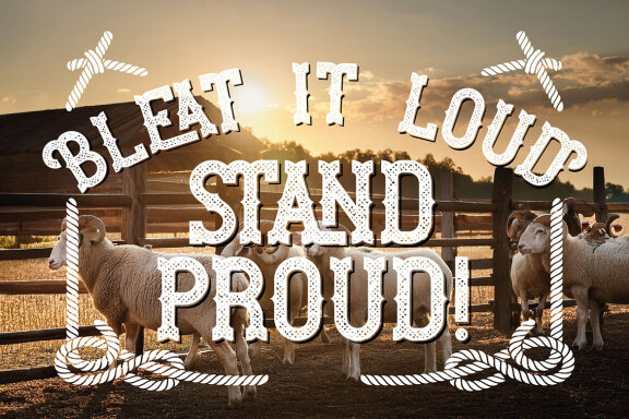 Ram Ranch Western Layered Font