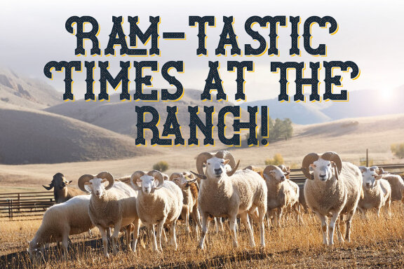 Ram Ranch Western Layered Font
