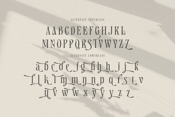 Nekavand Condensed Serif