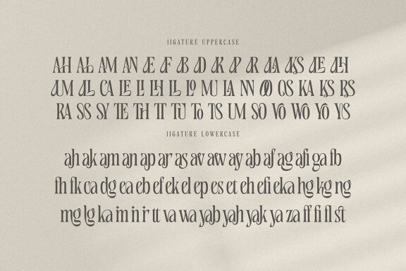 Nekavand Condensed Serif