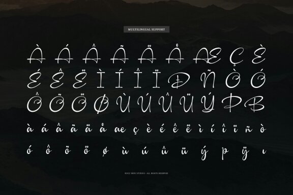Camerelia Family | Signature Font