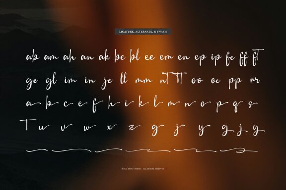 Camerelia Family | Signature Font