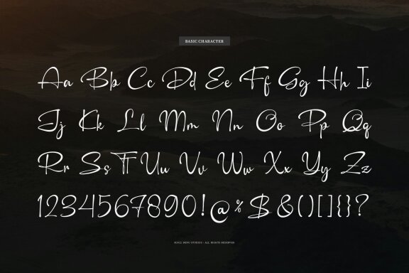 Camerelia Family | Signature Font