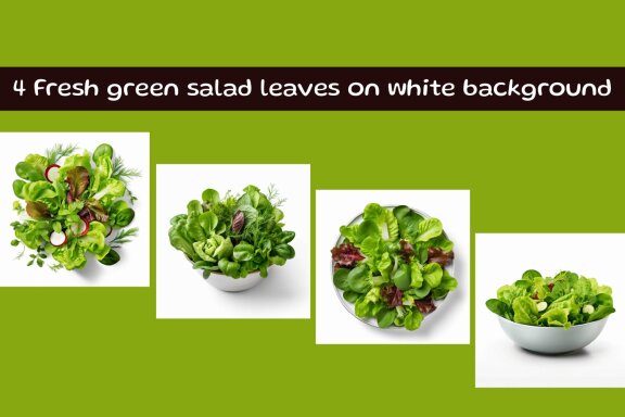  Fresh green salad leaves on white background